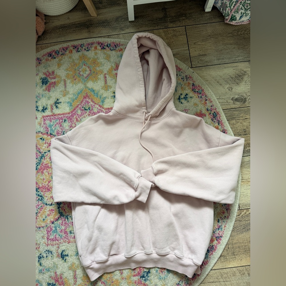 Aritzia Hoodie